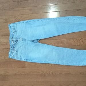 American Eagle Strigid Mom Jeans Size 12